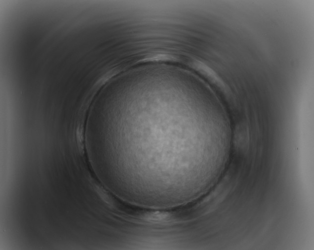 X0000089721321200706281523