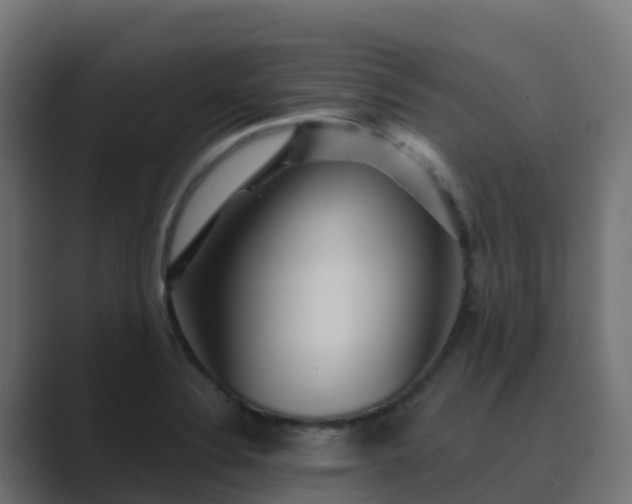 X0000089721324200706281523