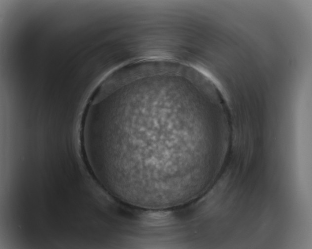 X0000089721325200706281523