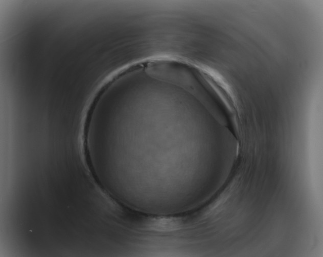 X0000089721327200706281524