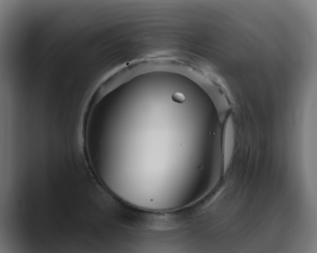 X0000089721328200706281524
