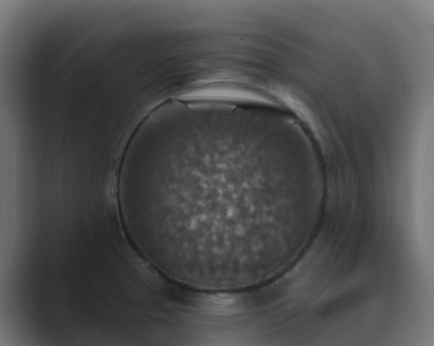 X0000089721329200706281524