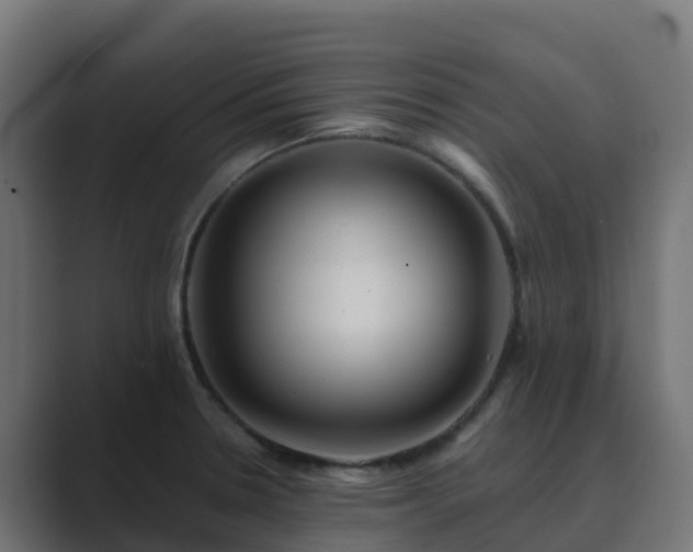 X0000089721330200706281524