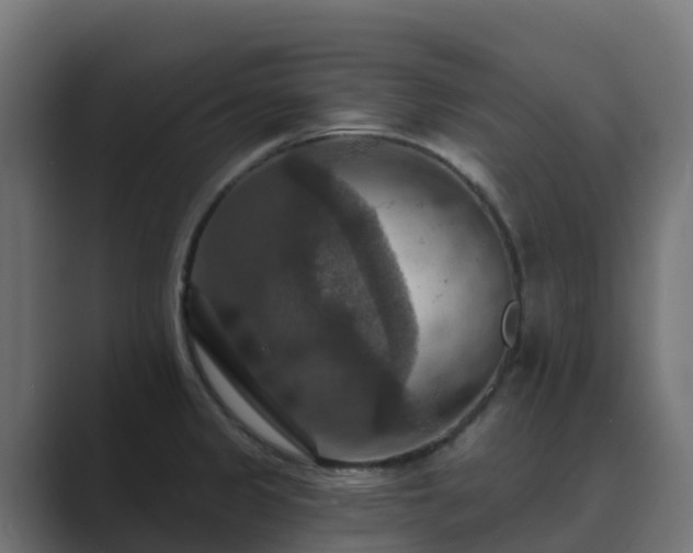 X0000089721333200706281524