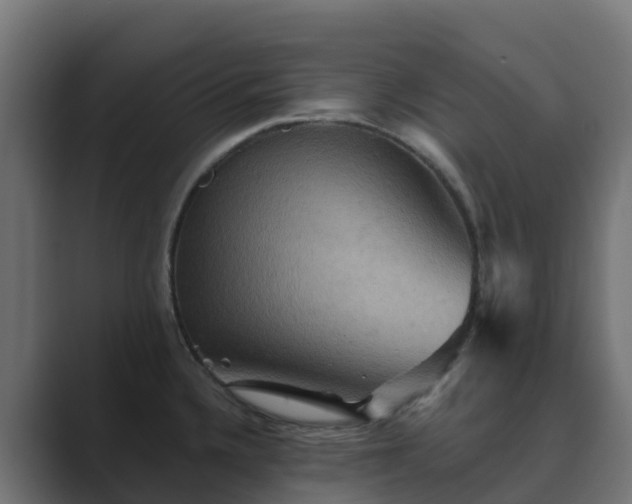 X0000089721336200706281524