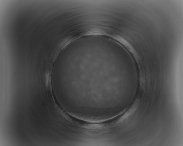 X0000089721337200706281524