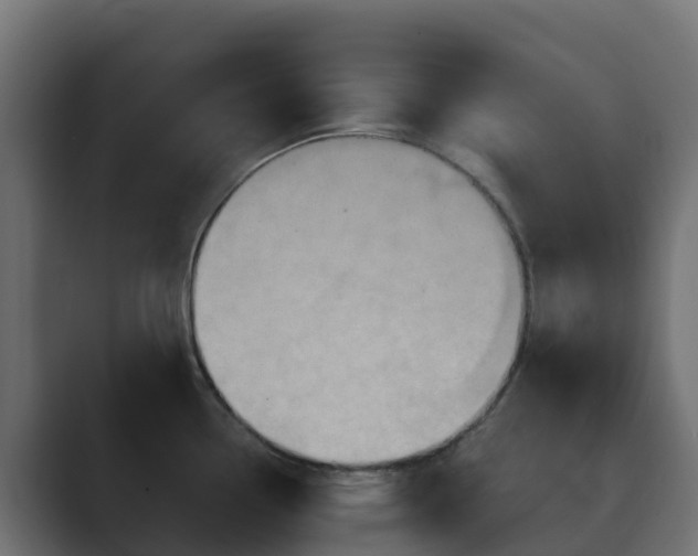 X0000089721338200706281524