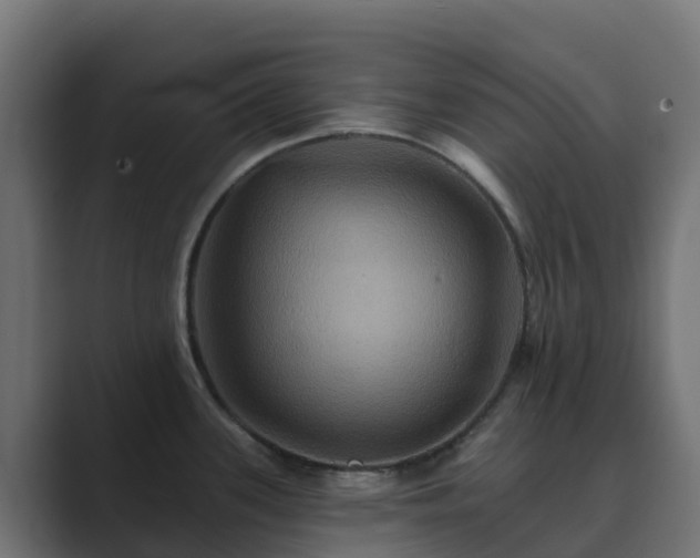 X0000089721339200706281524