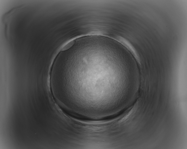 X0000089721340200706281524