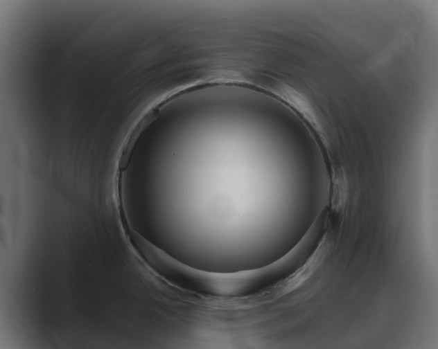 X0000089721342200706281524