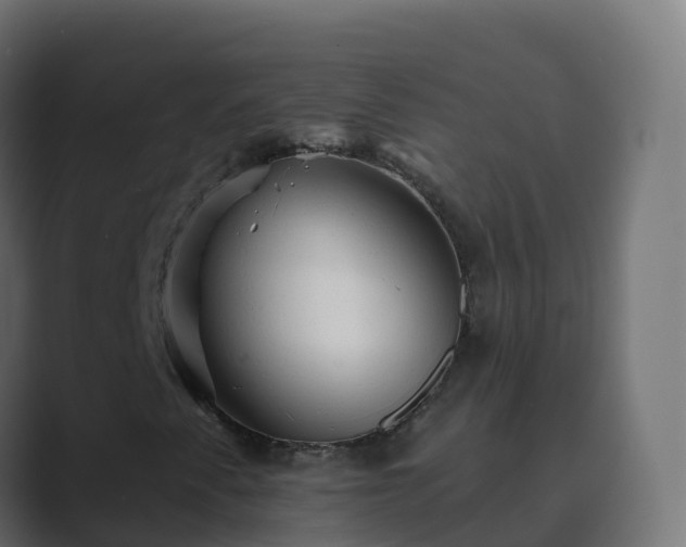 X0000089721345200706281523