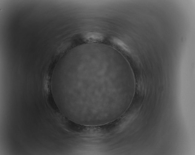 X0000089721346200706281523