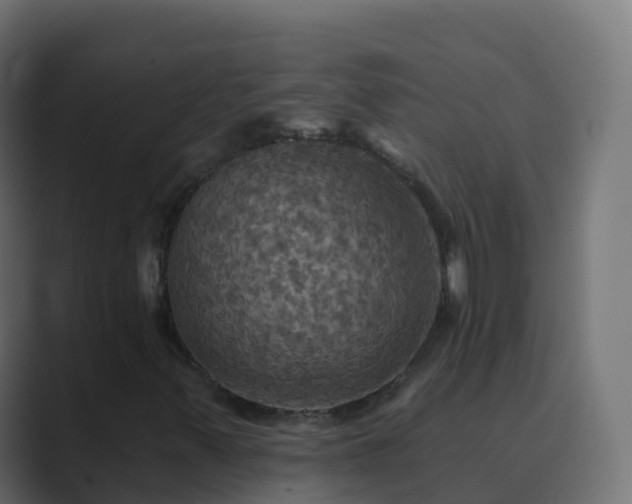 X0000089721347200706281523