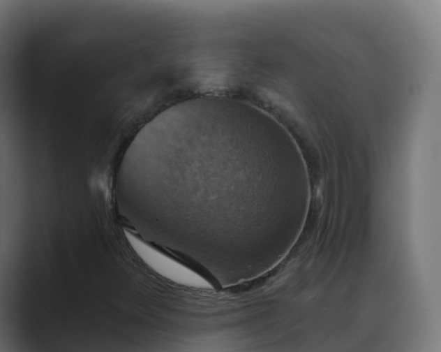X0000089721348200706281523