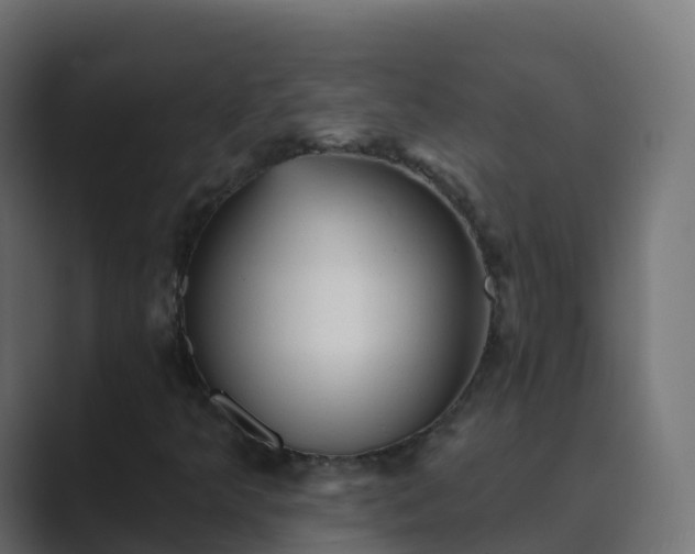 X0000089721349200706281523
