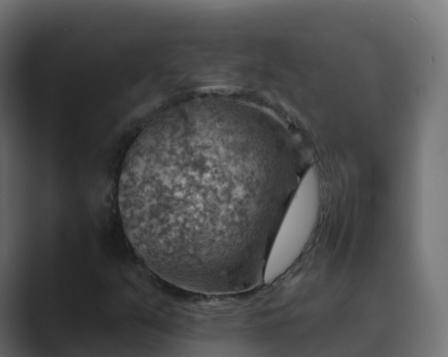 X0000089721351200706281523