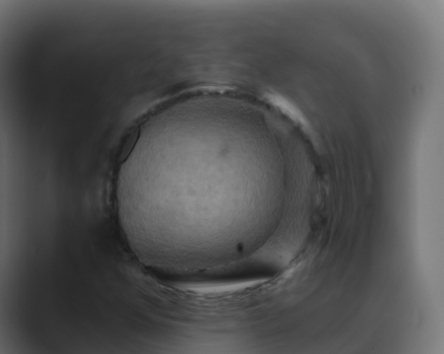 X0000089721352200706281523