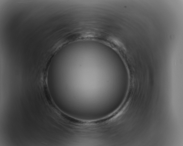 X0000089721353200706281523