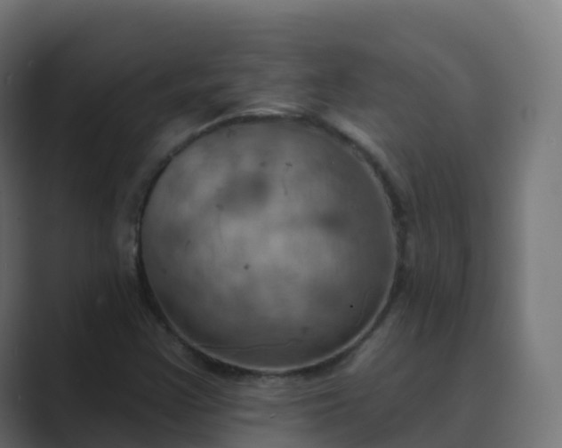 X0000089721355200706281523