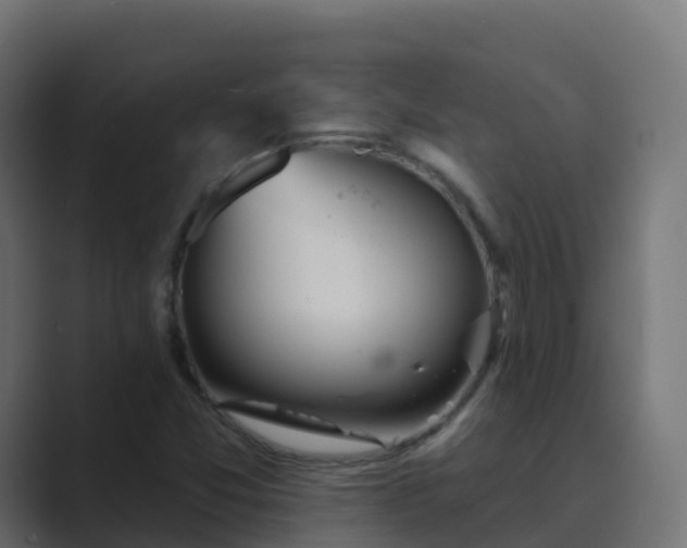 X0000089721357200706281523