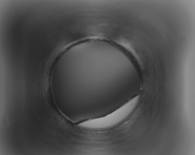 X0000089721359200706281523