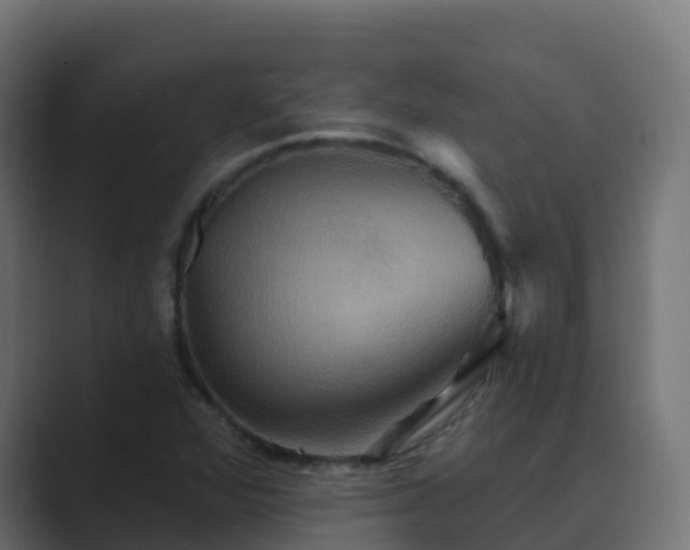 X0000089721360200706281523