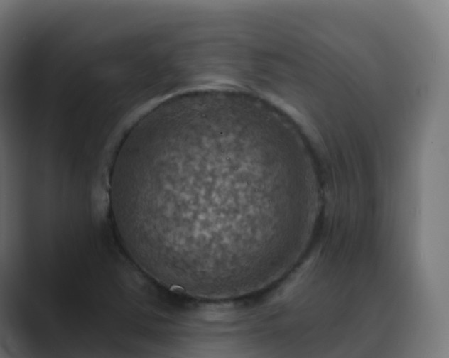 X0000089721363200706281523