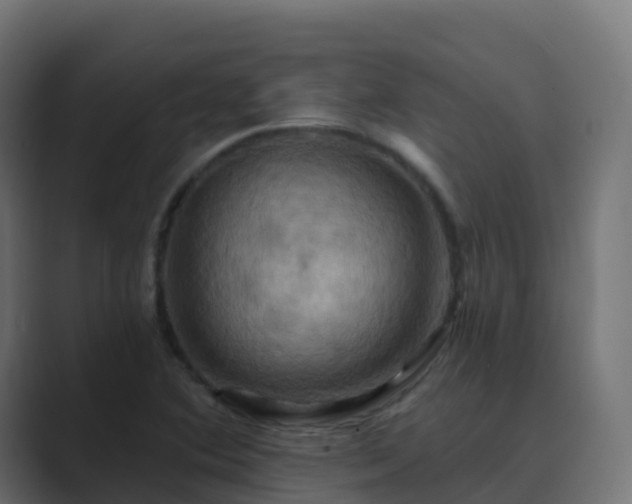 X0000089721364200706281523