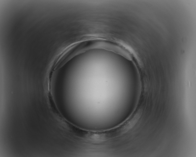 X0000089721365200706281523