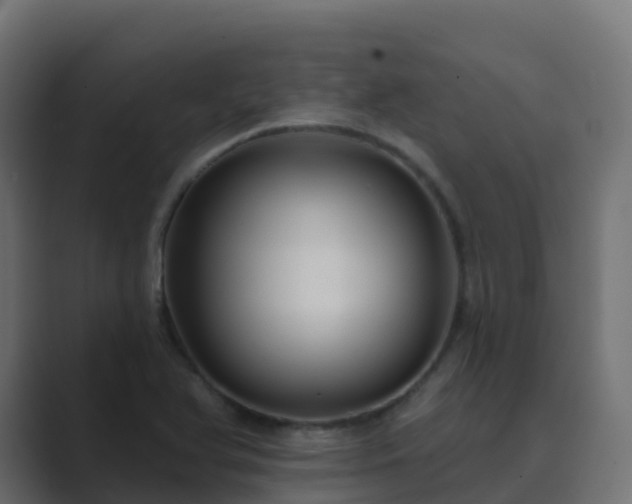 X0000089721366200706281523