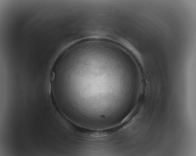 X0000089721368200706281523