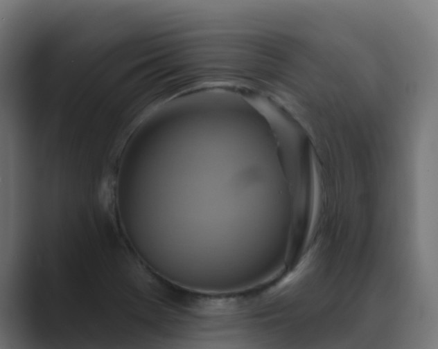 X0000089721369200706281523