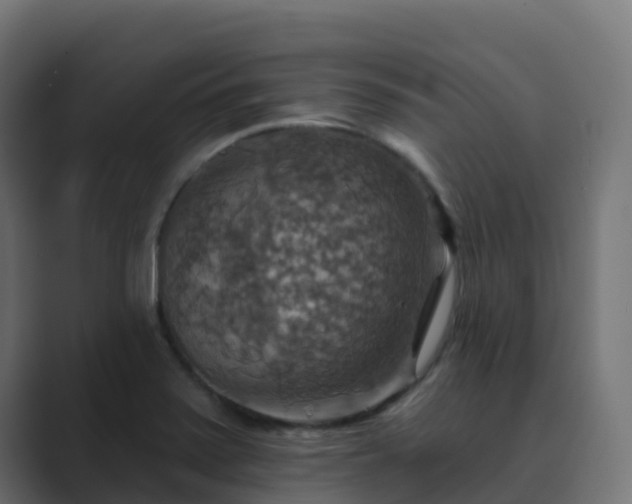 X0000089721371200706281523