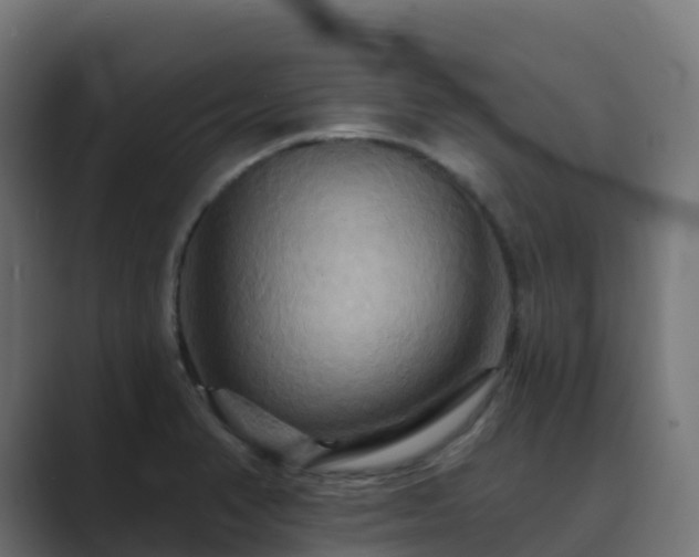 X0000089721374200706281523