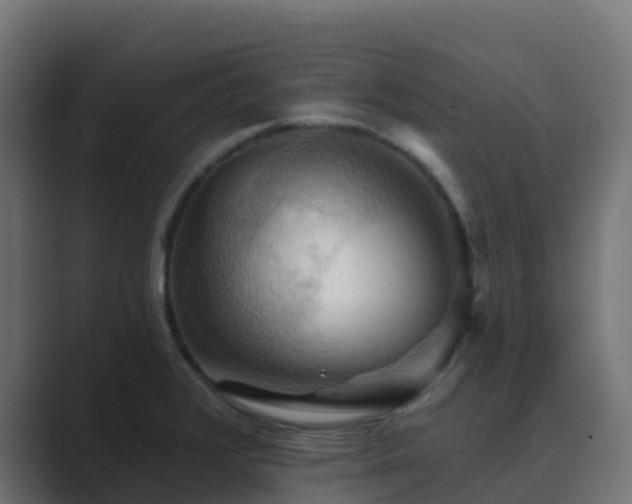 X0000089721376200706281523
