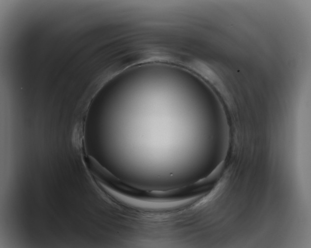 X0000089721377200706281523