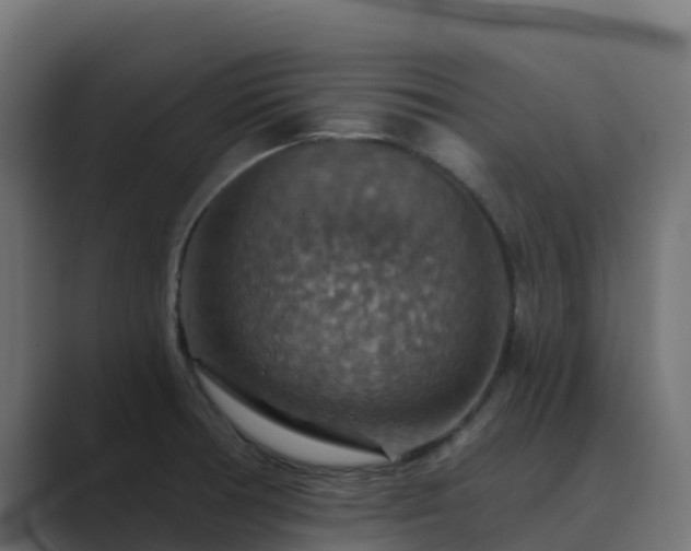X0000089721378200706281523