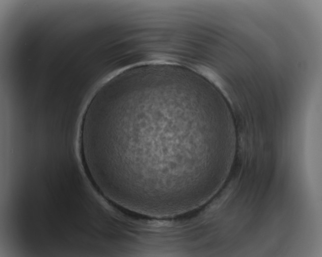 X0000089721379200706281523