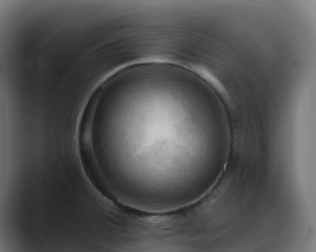 X0000089721380200706281523