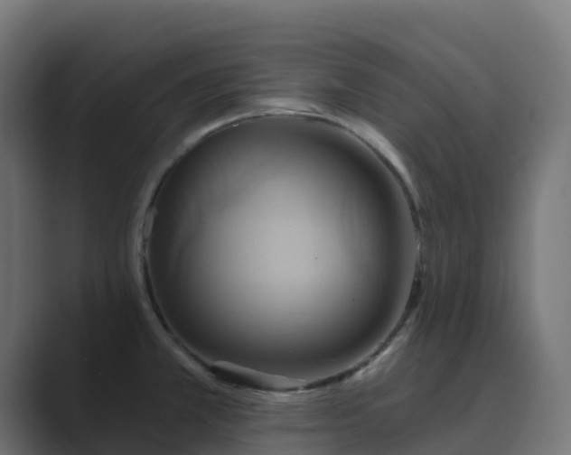 X0000089721381200706281523