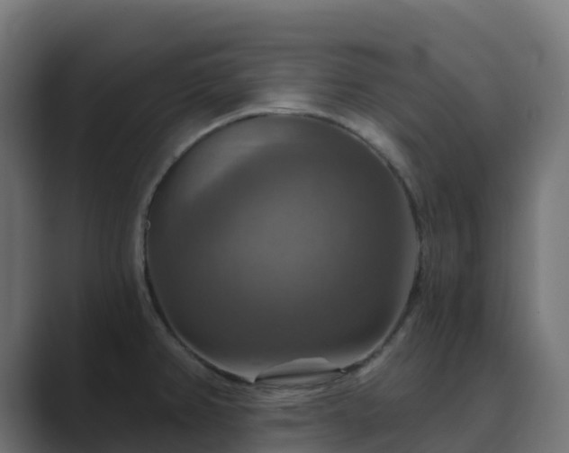 X0000089721382200706281523