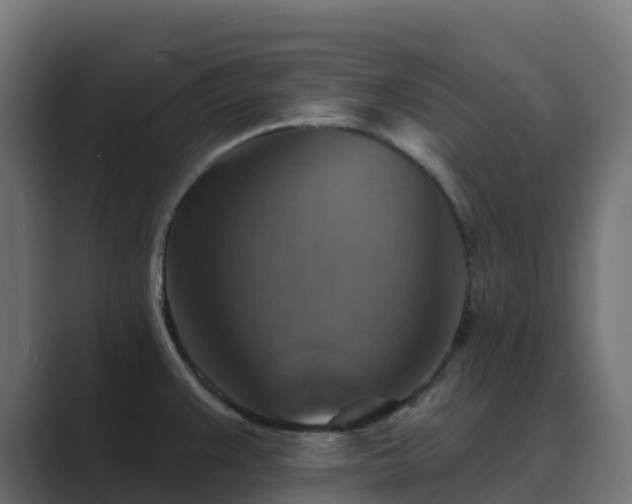 X0000089721383200706281523