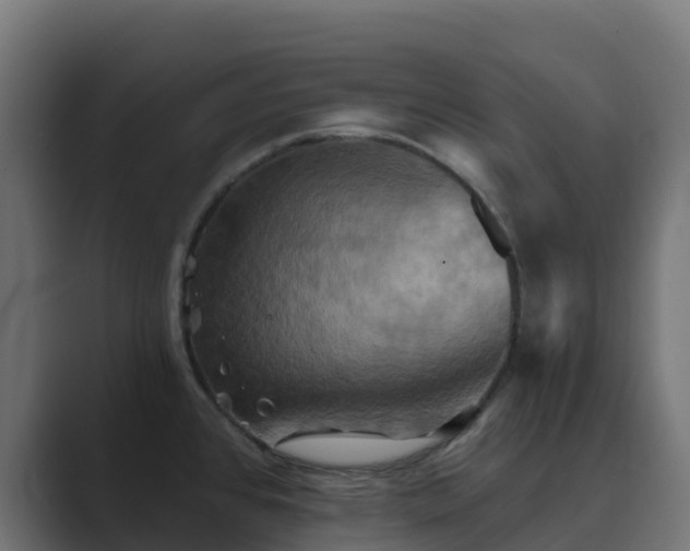 X0000089721384200706281523