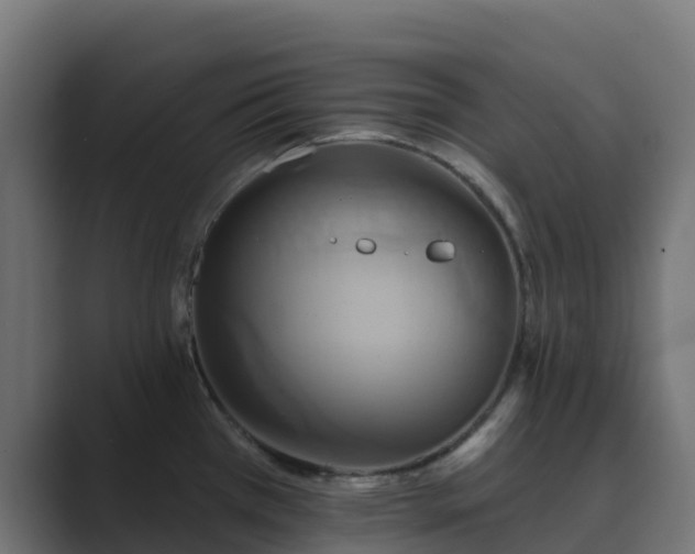 X0000089721385200706281523
