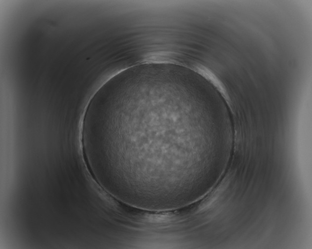X0000089721386200706281523