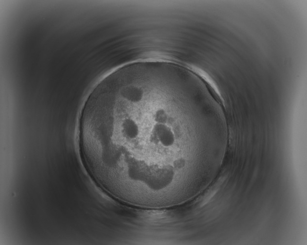 X0000089721387200706281523