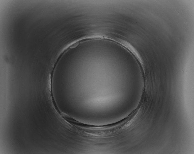 X0000089721388200706281523