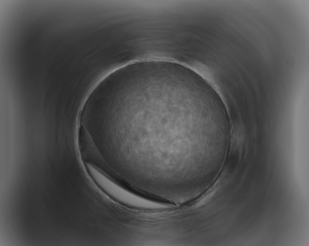 X0000089721390200706281523