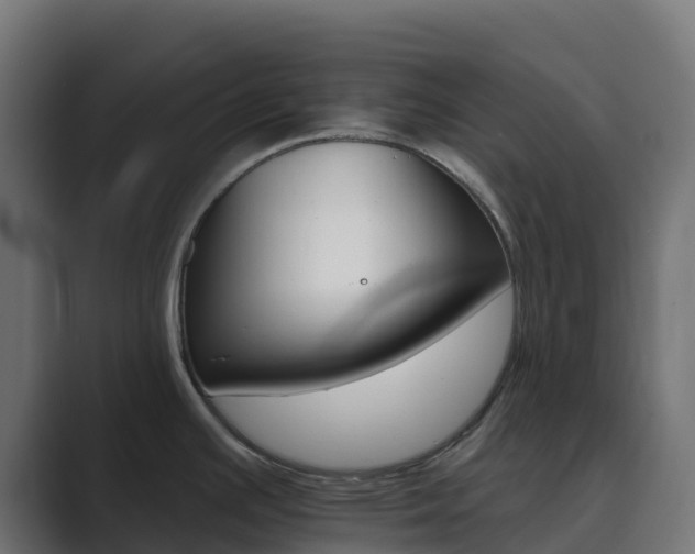 X0000089721391200706281523