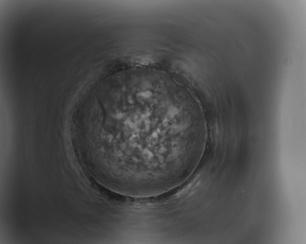 X0000089721393200706281522